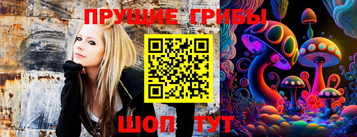 Псилоцибиновые грибы Psilocybe  Вход с VPN  Еманжелинск 